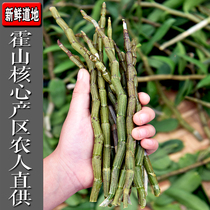 Huoshan fresh Dendrobium dendrobium fresh strips 500g four-year-old gift box authentic Anhui medicinal tea fresh maple bucket
