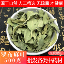 Apochus leaf 500g Chinese herbal medicine special grade Xinjiang apornum tea wild pressure drop tea Chinese herbal medicine shop