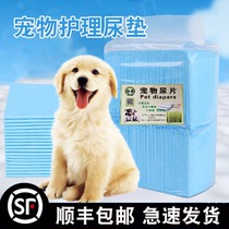 Dog diaper pet supplies diaper cat diaper Teddy diaper absorbent pad medium thick Shunfeng