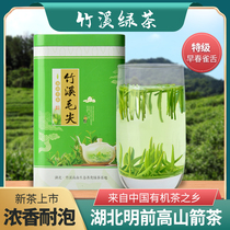 Authentic Zhuxi Arrow Tea Bird Tongue 2021 New Tea Premium Green Tea Shoot Maojian Spring Tea Alpine Tea