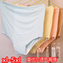 Fat plus size maternity panties High waist torso belly Modal cotton maternity triangle shorts Head pregnancy ultra-thin section