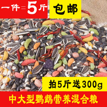 Medium and large small sun Golden Sun monk Alex red-breasted gray parrot eclectic sunflower feed bird food 5 pounds
