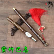 Yunnan Dongyun Bau Musical Instrument Beginner Zizhu F G Tune Bau