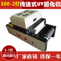 Promotional desktop UV light curing machine 300-2 type UV Lamp UV light curing machine ink UV glue curing furnace