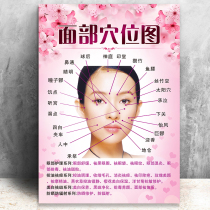 Facial acupressure map Facial care poster picture Facial back diagnosis map Beauty facial meridian acupressure map Facial diagnosis map