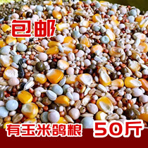 (50 Jin) Daily corn nutrition flying feed pigeons watching pigeons food birds food birds food 50kg
