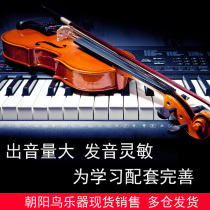 Adult violin students use handmade children beginner professional introductory performance high-grade tiger pattern backboard