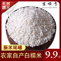 Glutinous rice new rice Yunnan specialty farm high quality rice Dai glutinous rice fresh crushed rice 500g
