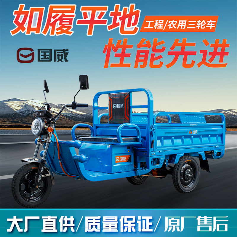 Guowei 電動三輪車、積載王、新型家庭用バッテリー車両、三輪車、特急車両、農業用車両
