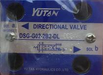 DSG-G02-2B2 2B3B-DL LW-DC24V AC220V AC110V YUTAN Solenoid valve