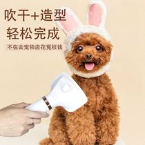 Pet hair dryer brushed one artifact blowing wind comb dog pulling machine hair dryer Teddy hair comb beauty Special