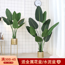 Nordic traveler banana simulation plant potted indoor ins decoration fake green plant large floor-landing bonsai living room ornaments