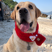 Chinese New Year festive pets keep warm cute Labrador take pictures Spring Festival New Year scarf dog transformation