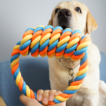 Big Dog Interactive bite-resistant cotton rope toy pet tooth tooth tooth grinding Rod golden retriever Samoyed puppy dog knot ring