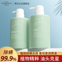 Sea salt shampoo oil control anti-dandruff anti-itching official brand supple improve frizz fluffy shampoo dew female