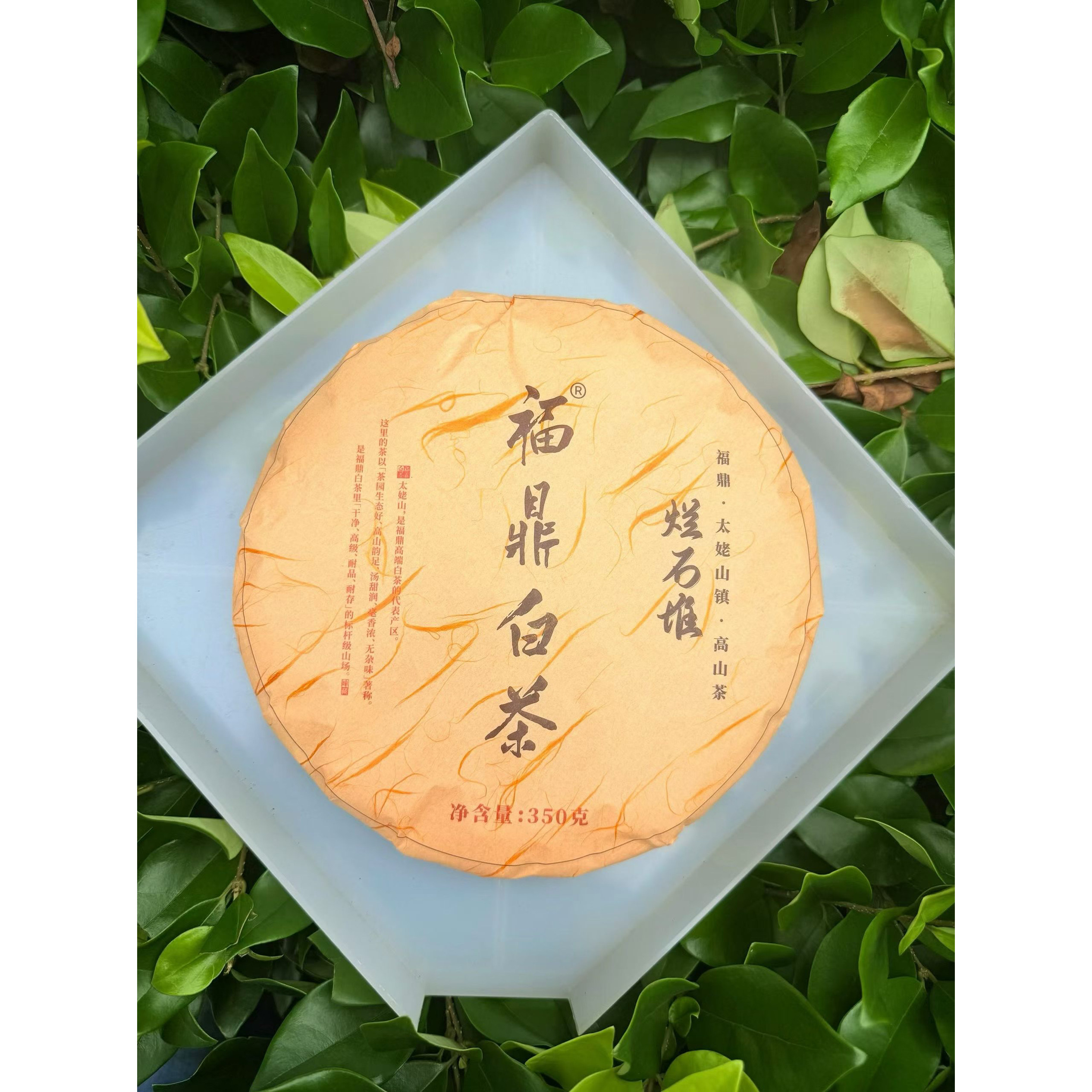 董德福鼎白茶-董德福鼎白茶促销价格、董德福鼎白茶品牌- 淘宝