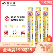 New Japanese imported STB dandelion 360 degree children pet dog cat toothbrush 4 color optional dental tool Universal
