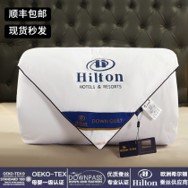 Exit Hilton Hotel Silk Quilt 100 Mulberry Silk Spring Autumn Quilt Air Conditioning By Summer Cool Quilted By Winter Quilted Quilt Core
