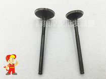Motorcycle parts HJ150-7-8 HJ150-20 HJ125 intake valve exhaust valve near exhaust valve
