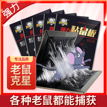 30 powerful sticky rat-plate-catching large mice with glue to catch the rat-cage the rat-trap and the home one end of the box.