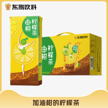 Dongpeng beverage is made of tangerine lemon tea 250ml * 18 boxes of whole box of tangerine fruit tea drink gift box