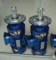 Cycloid needle wheel reducer BLD09 for dosing mixer-11-17-23-29-35-43-59-0 37KW