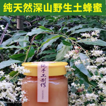 Honey Pure natural wild farm honey deep mountain flower honey Mature lair honey Raw honey No added edible agricultural products