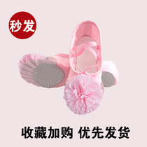 Adult dance shoes soft bottom girl practice shoes with flower shoes ballet dance shoes children kindergarten cat claw shoes women