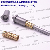 SSBGHZ-Z6-40-(20-40)-(15-30) Miniature Ball Bushing Guide Assembly