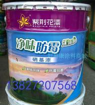 Bauhinia net taste mildew-proof non-added nitro paint 10KG wood paint fresh and environmentally friendly decoration furniture paint
