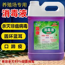 Disinfectant special deodorant for farms veterinary chicken duck cow sheep and pigsty disinfection and sterilization potassium permanganate disinfectant