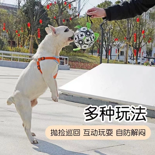 Сферическая интерактивная футбольная игрушка для тренировок, Amazon, домашний питомец