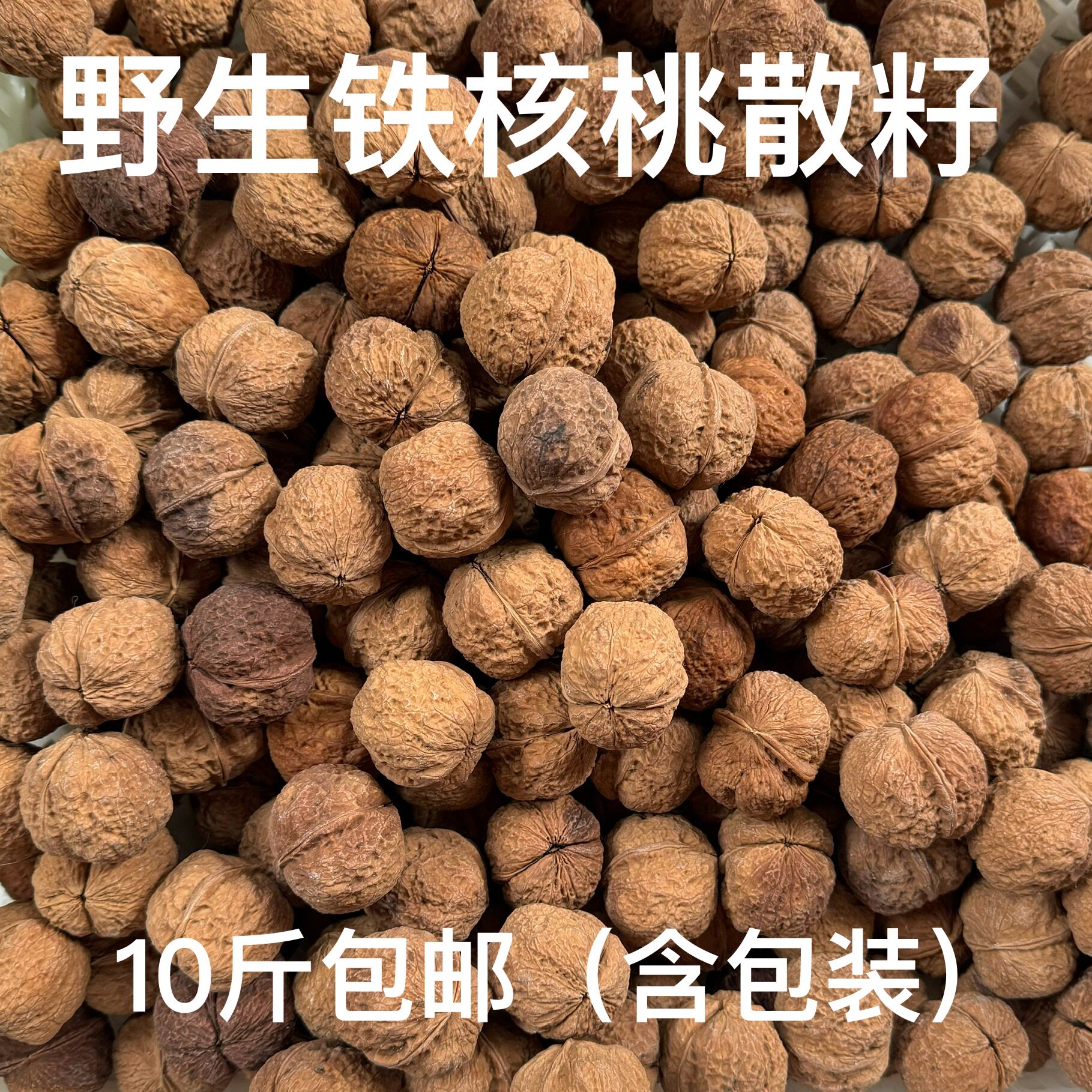 文玩铁核桃-文玩铁核桃促销价格、文玩铁核桃品牌- 淘宝