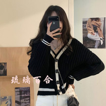 sandro French 21 autumn and winter lazy wind loose cardigan jacket design sense short knitted sweater women