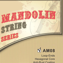 (Timothy old Carpenter) mandola hamstring MANDOLIN set string silver plated copper tangles AM08