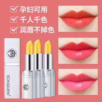 Shikano carotene lipstick does not fade do not touch Cup discoloration lipstick niche brand female moisturizing big name