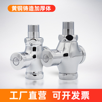 All copper flush valve hand press type toilet squatting toilet toilet toilet press type flush valve delay switch valve