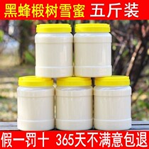 Five pounds of honey Pure natural farm-produced Linden honey Changbai Mountain white honey Wild earth honey Black Bee snow honey