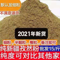 Authentic Xinjiang pure cumin powder sprinkle material barbecue seasoning 500g Shish kebab barbecue seasoning