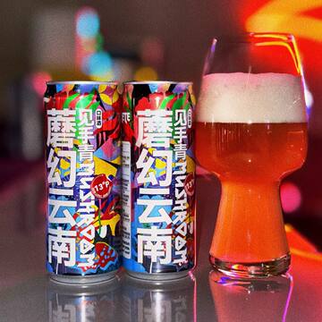 见手青精酿啤酒云南野生菌蘑菇风味啤酒云南特产山珍特产礼盒装