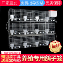 Pigeon cage breeding cage household 12 pigeon breeding cage 16 pigeon breeding cage large matching pigeon cage