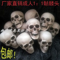 Shooting props skull cos dress simulation human small skull Halloween haunted house ornaments skull head model