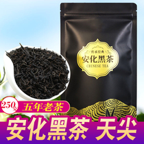 Buy a bag and get a bag) Anh black tea Xiangjian Tiangjian 13-year old tea Yiyang source manufacturer produces straight hair