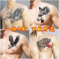 Tattoo stickers waterproof male long-lasting flower arm Korean personality Wolf head over shoulder dragon chest leg arm cover scar simulation tattoo