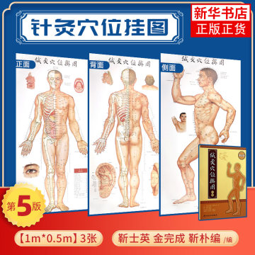 针灸穴位书籍-针灸穴位书籍促销价格、针灸穴位书籍品牌- 淘宝