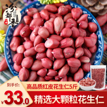 (Peanut kernels 5kg) Fen Duxiang New Peanut Farmers Shelled Red Peanuts Four Original Red Skin