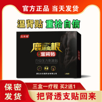 Kidney warm kidney health stickers male treasure stickers kidney treasure stickers solid Ben Peiyuan stickers waist kidney stickers official mens good goods