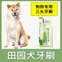 Dog Dog Toothbrush Set Puppy Toothpaste Brush Dental with Teeth Cleaning Products Finger