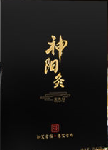 Collection of Fuzheng shen yang moxibustion