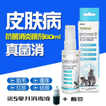 Dr. Rabbit Fungi Rabbit Skin Medicine Rabbit Medicine Special Medicine Hair Drop Scratching Pain Itching Red Swelling Hair Dropping Small Pets